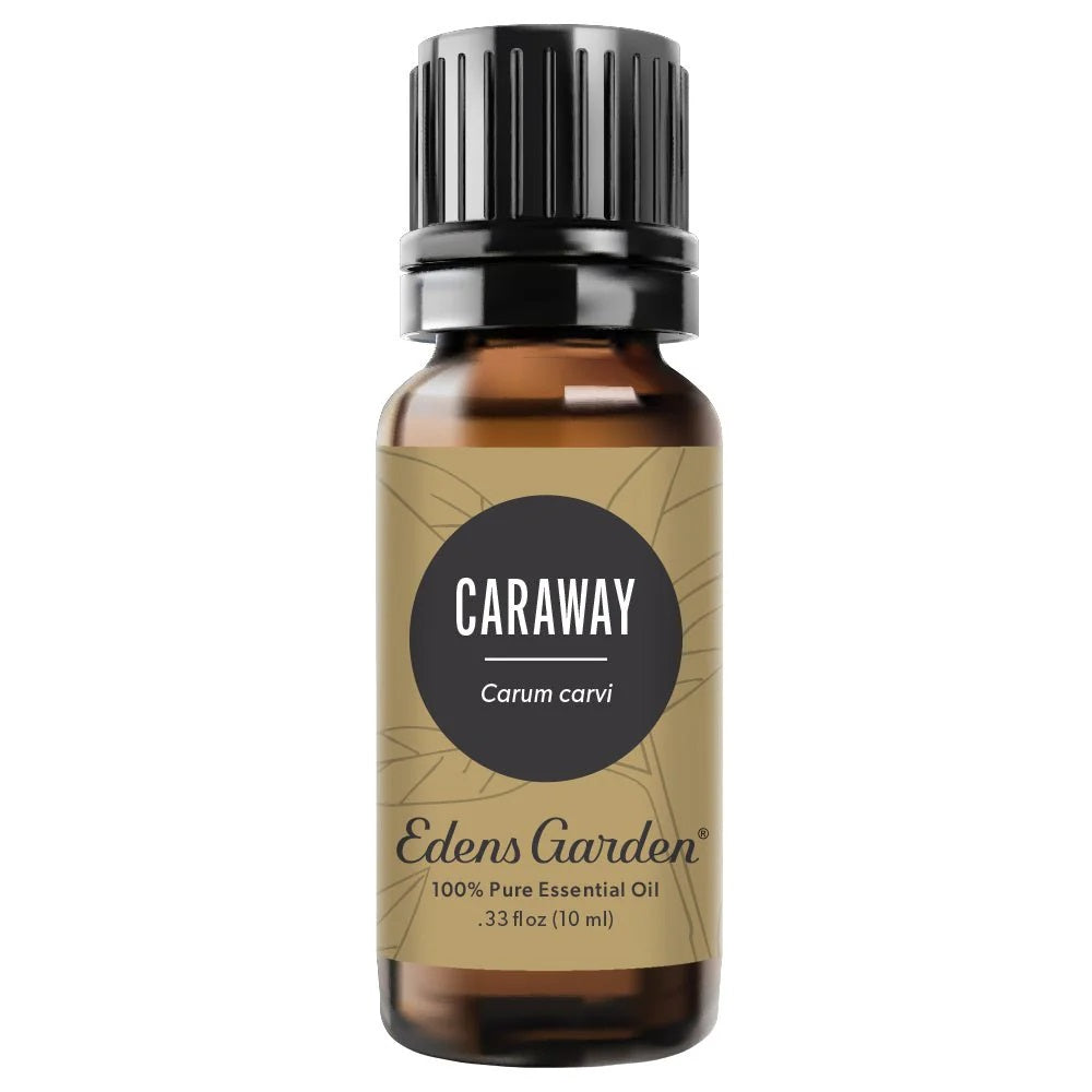 Edens Garden Caraway Essential Oil 10ml