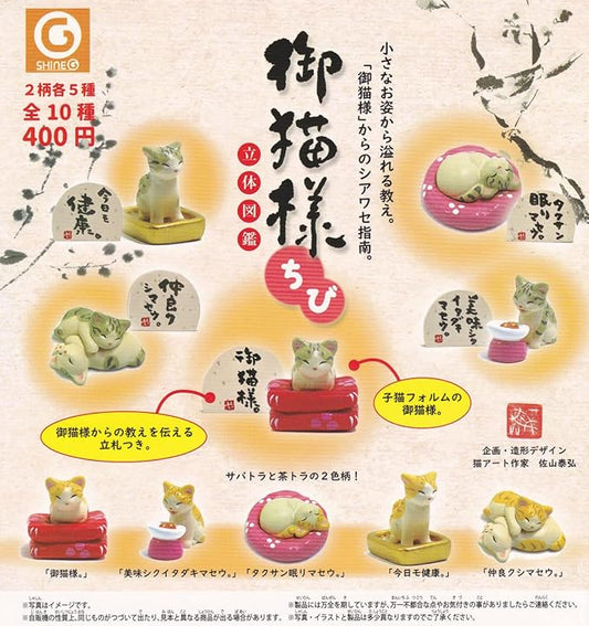 御貓樣立體圖鑑 幼貓篇