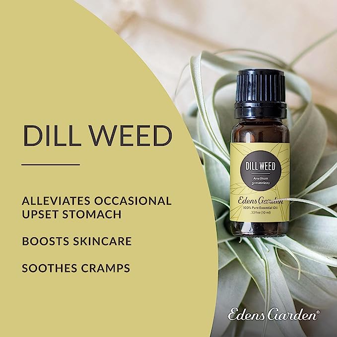 Edens Garden Dill Weed Essential Oil 10ml for tummy conditions