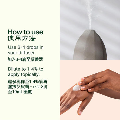 Plant Therapy Petitgrain Essential Oil 10ml 