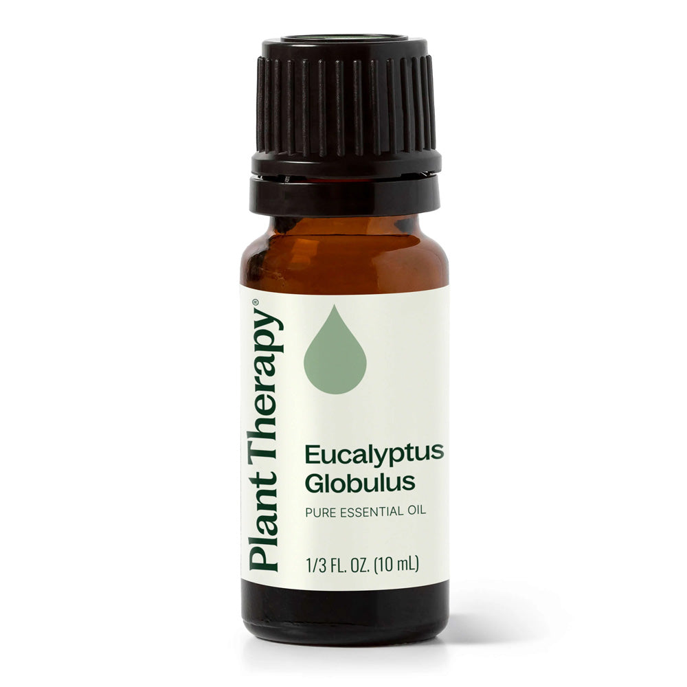 Plant Therapy Eucalyptus Globulus Essential Oil 10ml 