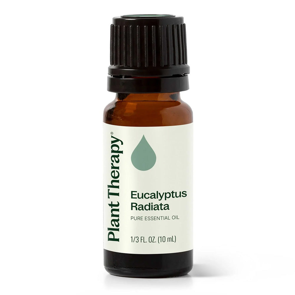 Plant Therapy Eucalyptus Radiata Essential Oil 10ml 