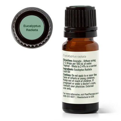 Plant Therapy Eucalyptus Radiata Essential Oil 10ml 