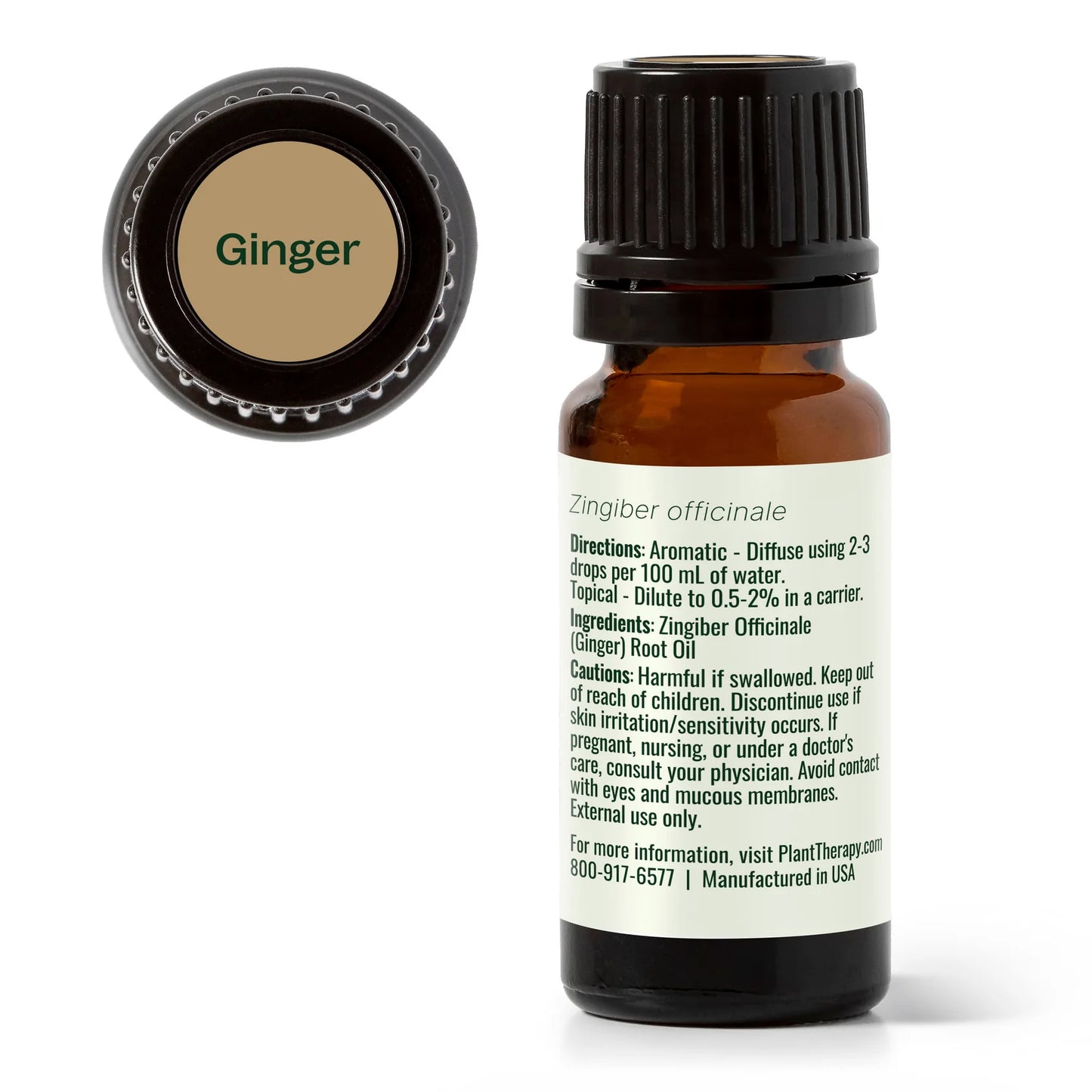 Plant Therapy Ginger Essential Oil 10ml 