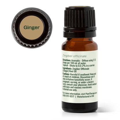 Plant Therapy Ginger Essential Oil 10ml 