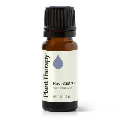 Plant Therapy Ravintsara Essential Oil 10ml 