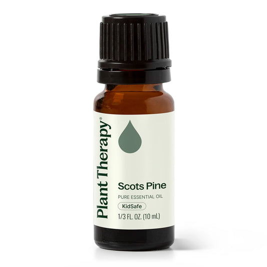 Plant Therapy Scots Pine Essential Oil  10ml