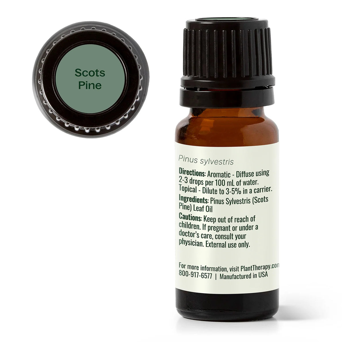 Plant Therapy Scots Pine Essential Oil  10ml