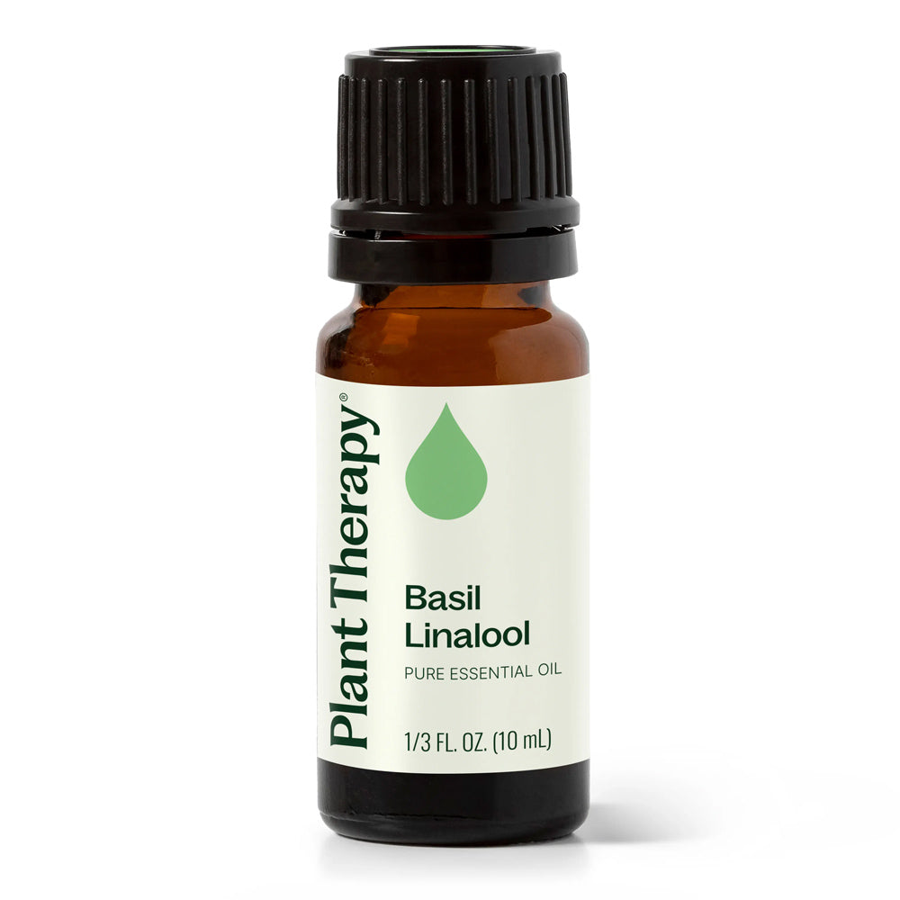 Plant Therapy Basil Linalool Essential Oil 10ml – Sweet & Gentle Basil
