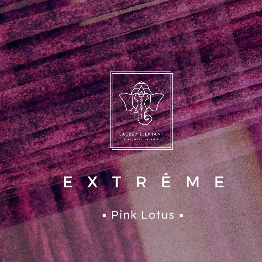 Sacred Elephant Pink Lotus Extrême Luxury Incense I Vivid. Unapologetic. Fully bloomed