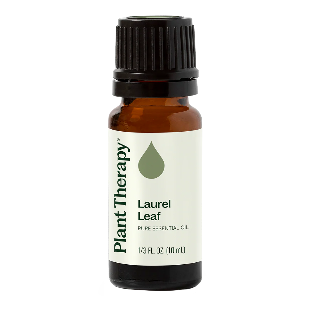 Plant Therapy Laurel Leaf Essential Oil 10ml 