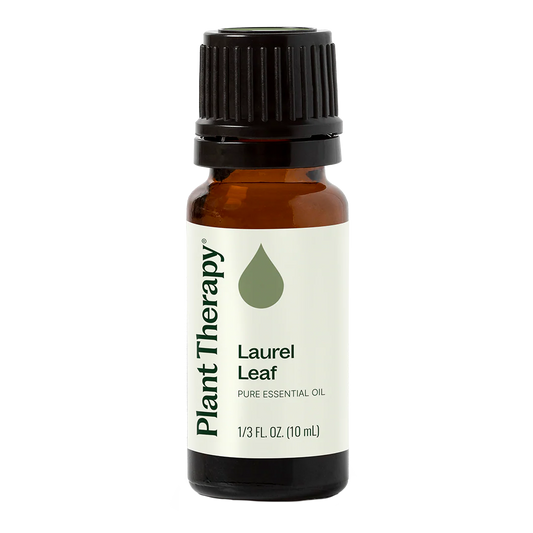 Plant Therapy Laurel Leaf Essential Oil 10ml 