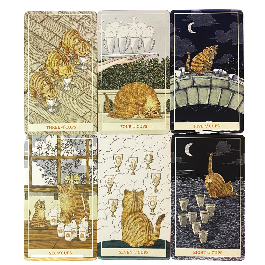 Sunny Orange Cat 橘貓 (黃貓)塔羅牌 78 張